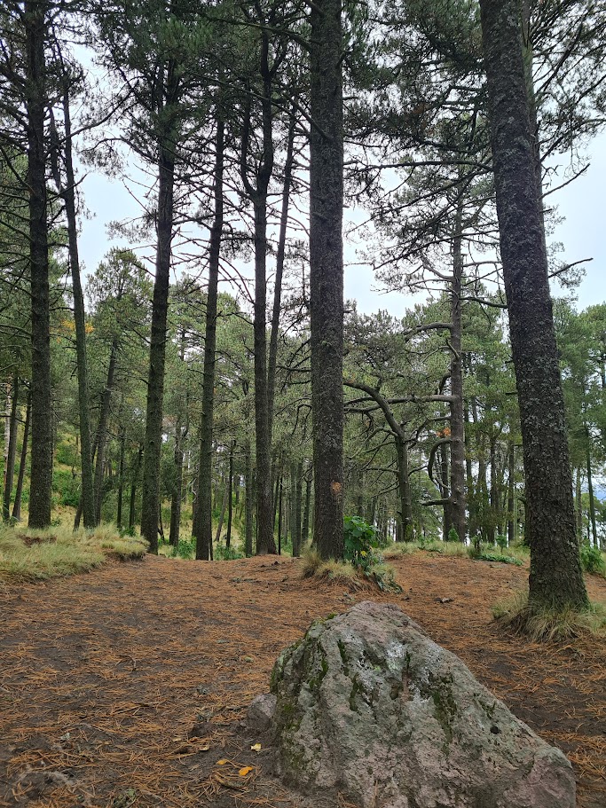 La Malinche, momento 3
