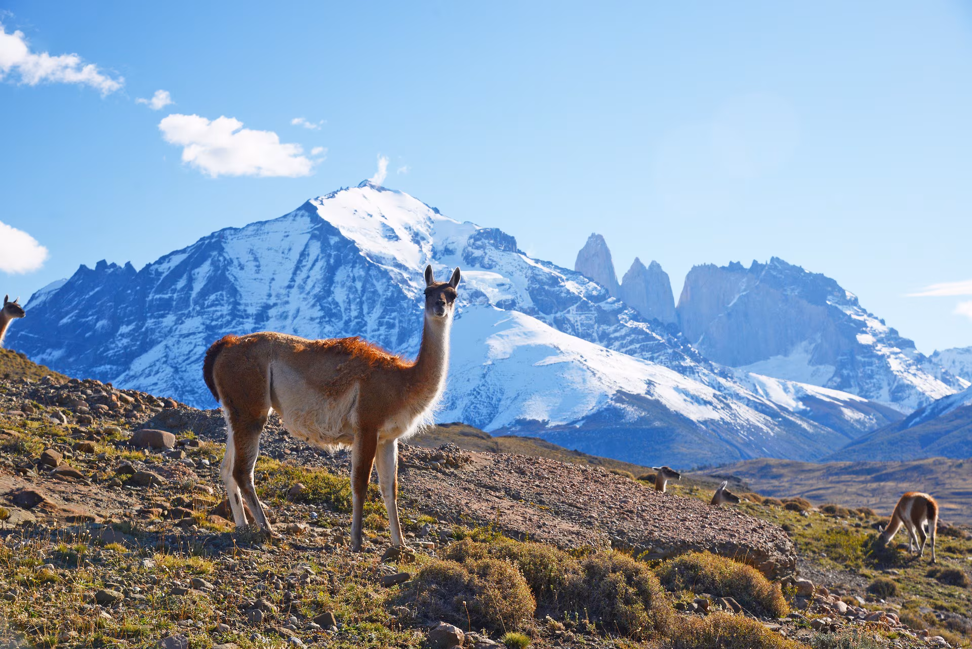 Patagonia, momento 3